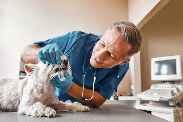 Best Tooth Pain Emergency Relief  in Seabrook, TX